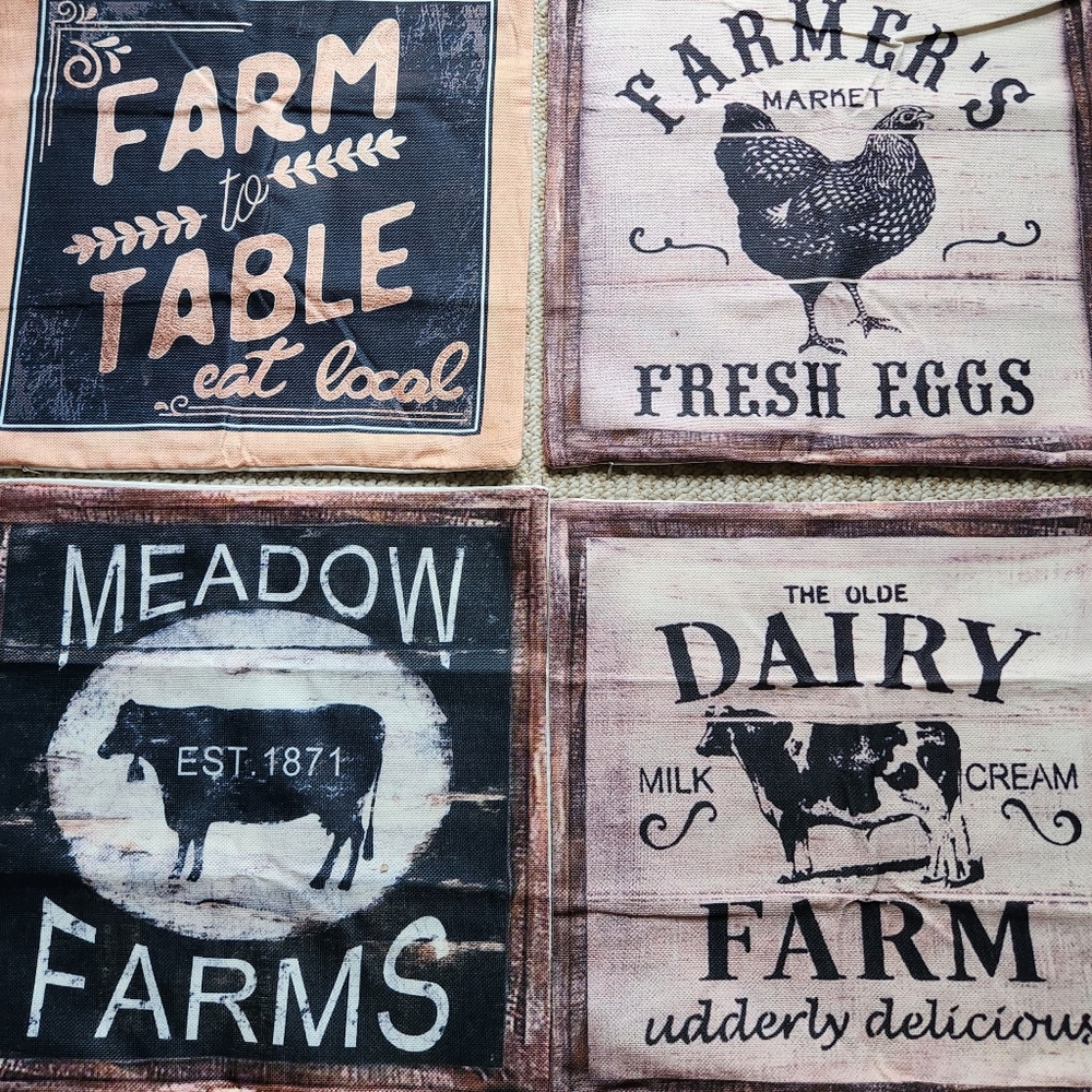 Set of 4 Farmhouse style pillow covers